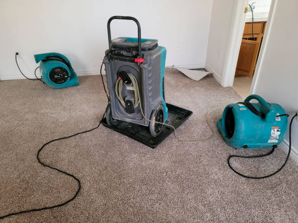 Best Water damage restoration near me  in Beverly Hills, CA