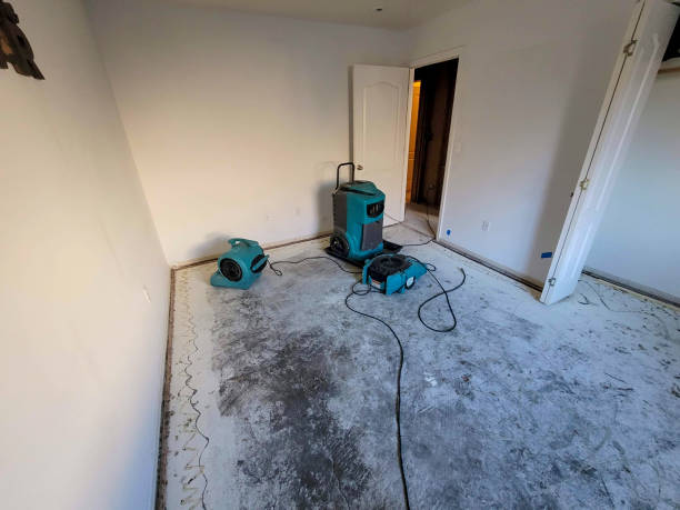 Best Local water damage restoration  in Beverly Hills, CA
