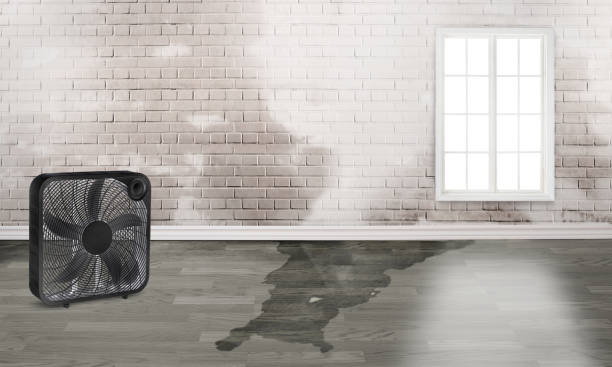 Best Water damage cleanup near me  in Beverly Hills, CA