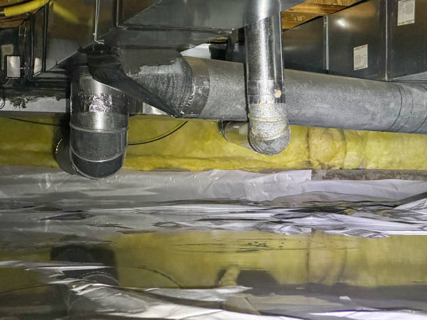 Best Basement water damage restoration  in Beverly Hills, CA