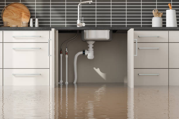 Best Professional water damage repair  in Beverly Hills, CA