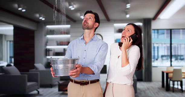 Best Professional water damage repair  in Beverly Hills, CA