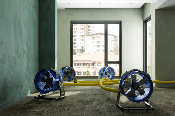 Water damage restoration experts in CA